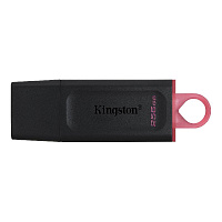 256GB DataTraveler Exodia