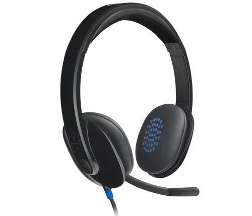 LOGITECH Corded USB Headset H540 - USB - EMEA
