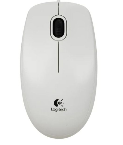 LOGITECH Corded  Mouse B100 - Business EMEA - WHITE